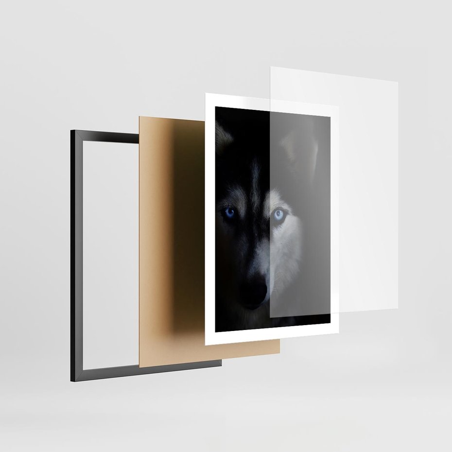 Plakat w ramie 50x70 - Wilk i husky: siła przyjaźni - wilk, husky - rama czarna