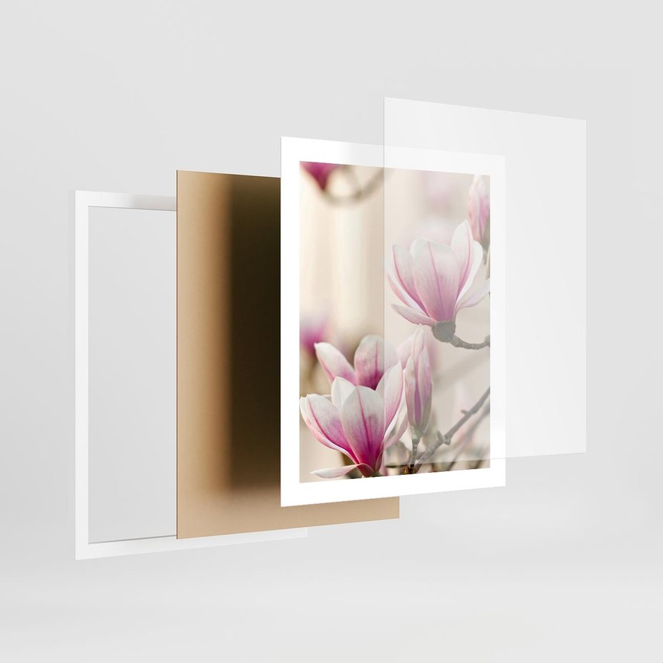 Plakat w ramie 40x50 - Urok Magnolii - magnolie, kwiaty - rama biała