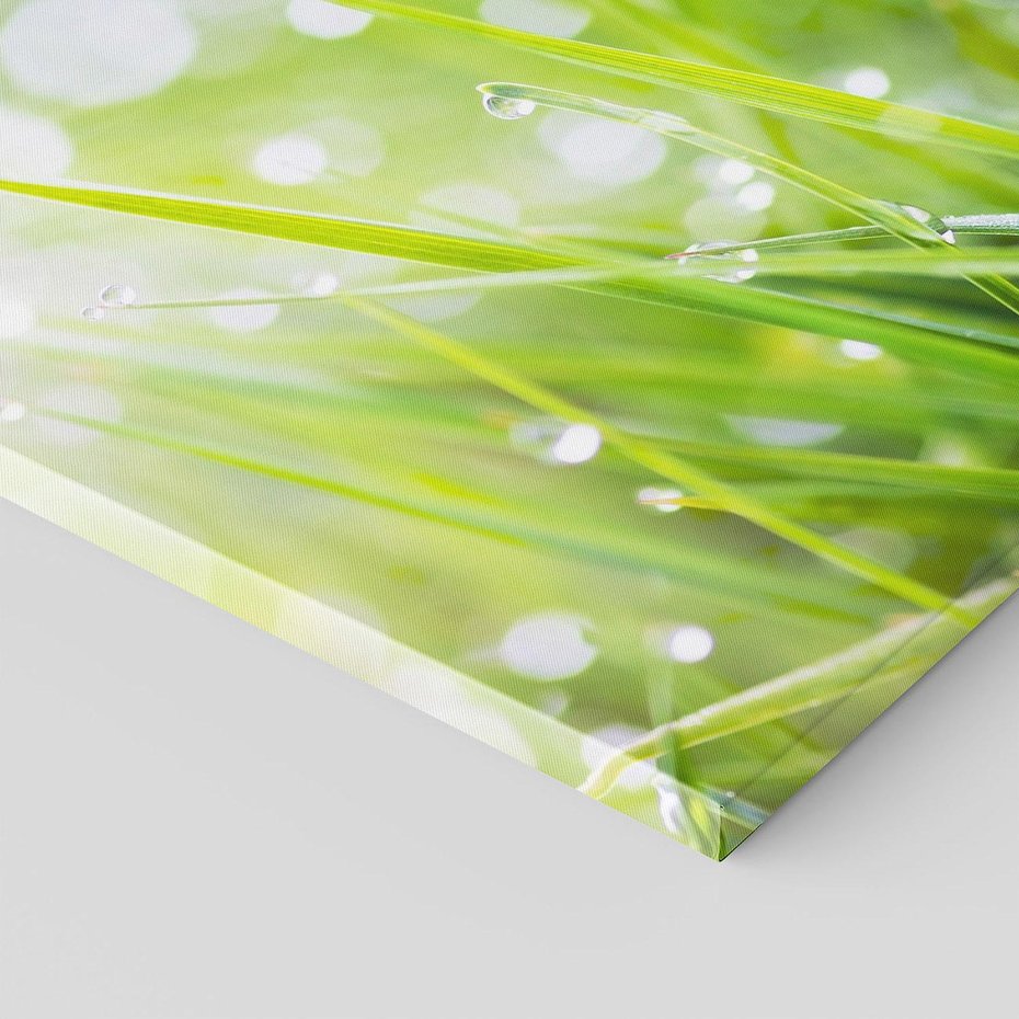 Obraz na płótnie 60x60 - Delikatna trawa pokryta rosą - trawa, rosa