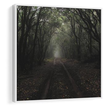 Obraz w ramie 80x80 - Urok Drogi - las, droga - rama biała