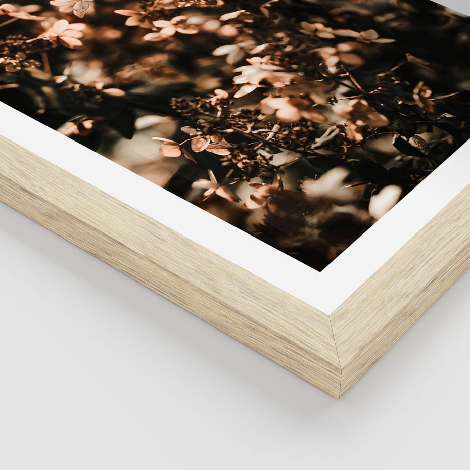 Plakat w ramie 50x70 - Sucha Kompozycja Kwiatów - suche kwiaty hortensji - rama drewno