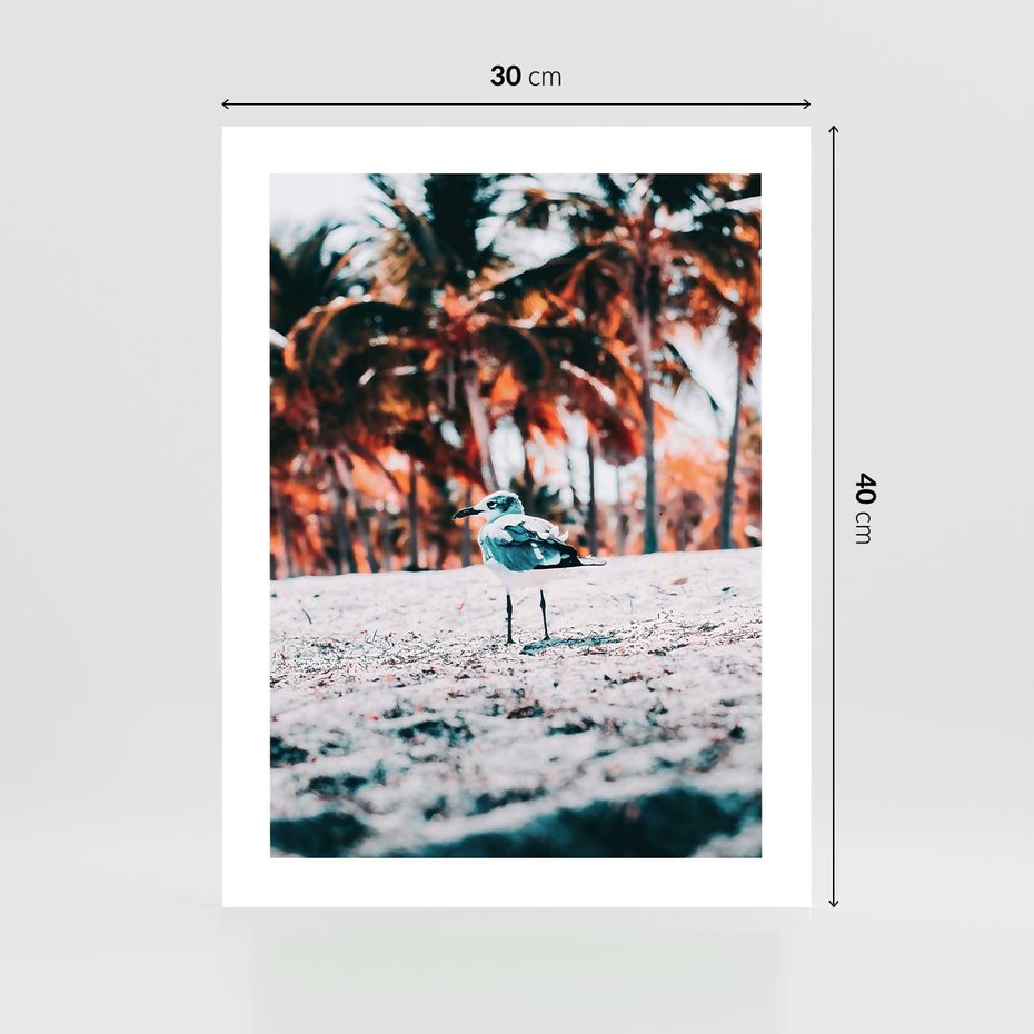 Plakat bez ramy 30x40 - Tropikalna Uroda: Plaża z Mewą - tropikalna plaża, mewa na piasku