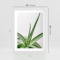 Plakat w ramie 30x40 - Zielone Piękno - aloes, liście - rama biała