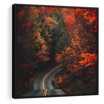 Obraz w ramie 50x50 - Jesienne Podróżowanie - fotografia, jesień - rama czarna