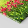 Obraz na płótnie 120x80 - Tulipanowy raj - kwiat, kwiaty