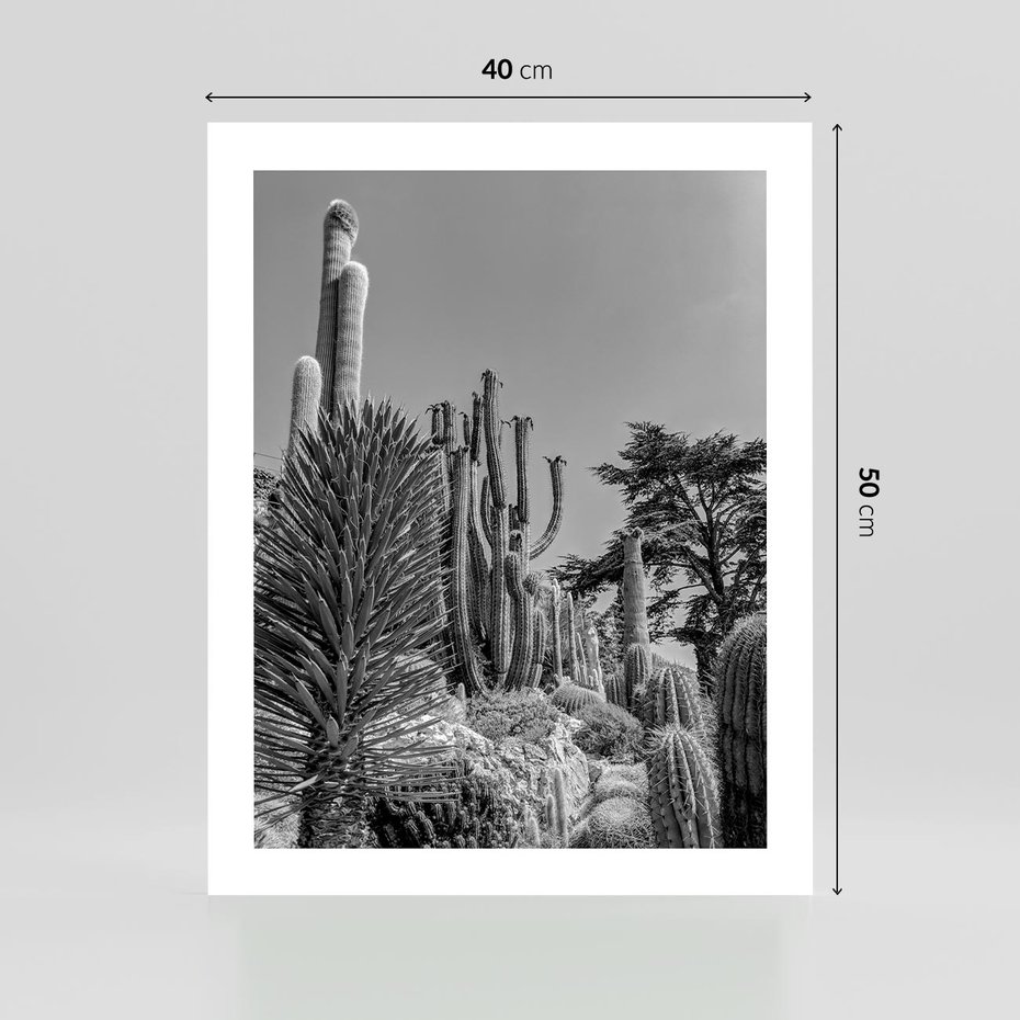 Plakat bez ramy 40x50 - Pustynny Klimat - czarno białe zdjecie, pustynia