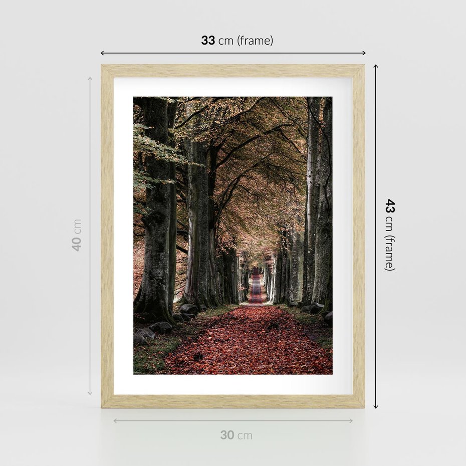 Plakat w ramie 30x40 - Spacer po Leśnej Drodze - ścieżka w lesie, jesień suche liście - rama drewno