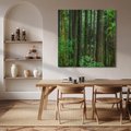 Obraz na płótnie 50x50 - Mistyka leśnej głuszy - las, drzewa
