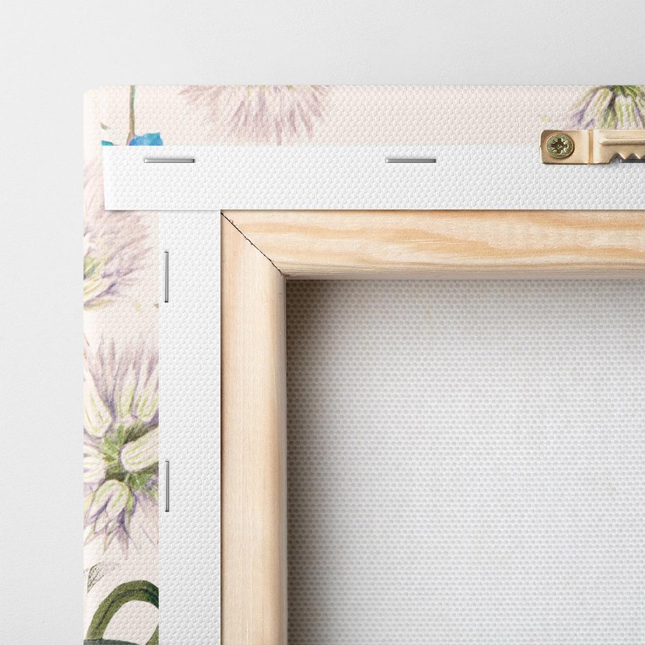 Obraz na płótnie 70x50 - Polne Kwiaty - polne kwiaty, na białym tle