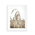 Plakat w ramie 30x40 - Ujęcie Suchych Traw - suche trawy, zbliżenie - rama biała