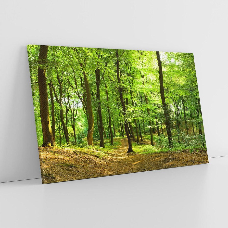 Obraz na płótnie 120x80 - Mistyka leśnych drzew - las, drzewa