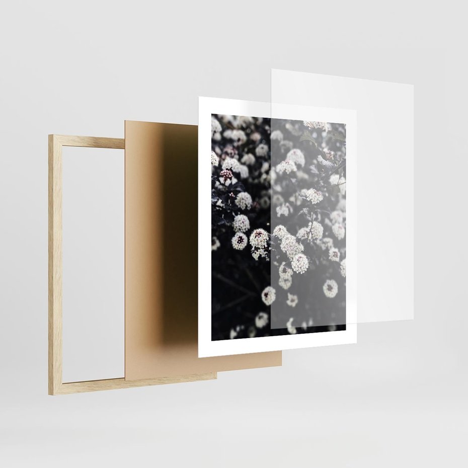 Plakat w ramie 40x50 - Białe Kwiaty na Kwitnącym Krzewie - białe kwiaty, kwitnący krzew - rama drewno