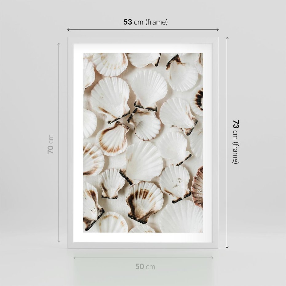 Plakat w ramie 50x70 - Białe Muszle - białe muszle, ujęcie z góry - rama biała