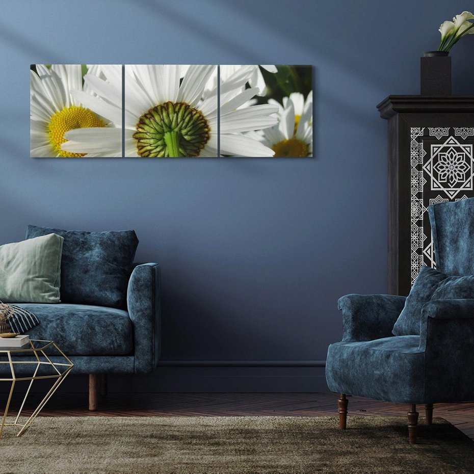 Obraz na płótnie 120x40 - Stokrotki w pełnym rozkwicie - stokrotki, kwiaty