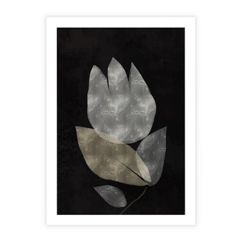Plakat bez ramy 40x50 - Nocne Uniesienia - abstrakcyjny kwiat, mroczna atmosfera