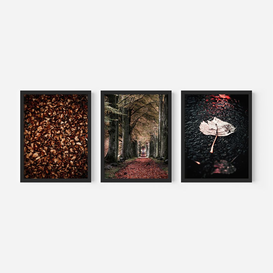 Zestaw obrazy w ramie 50x70 galeria - Jesień, ścieżka, klimatyczna - rama czarna