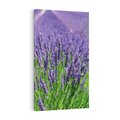 Obraz na płótnie 80x120 - Lawendowe pola piękno natury - lawenda, kwiaty