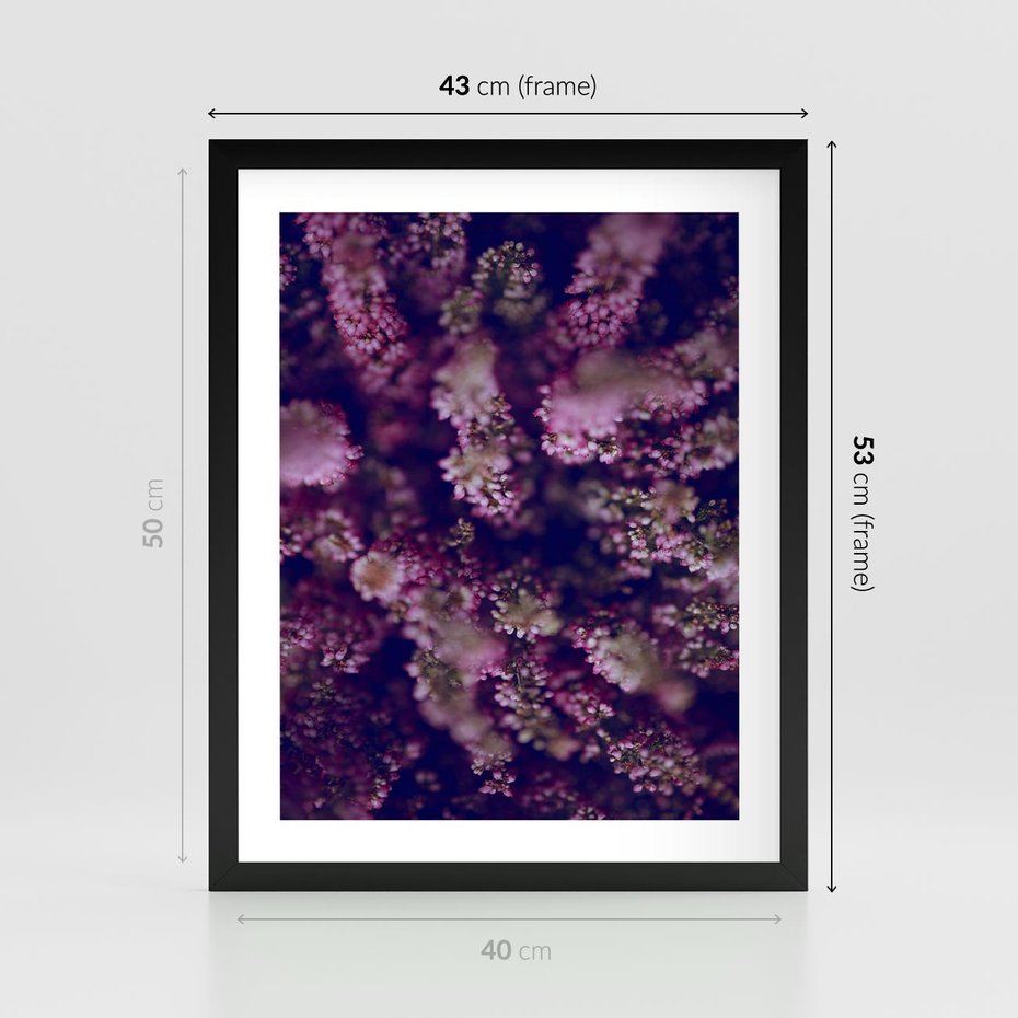 Plakat w ramie 40x50 - Wrzosowa Delikatność - wrzosy, kwiaty - rama czarna