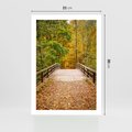 Plakat bez ramy 21x30 - Spacer Ścieżką w Las - ścieżka, spacer
