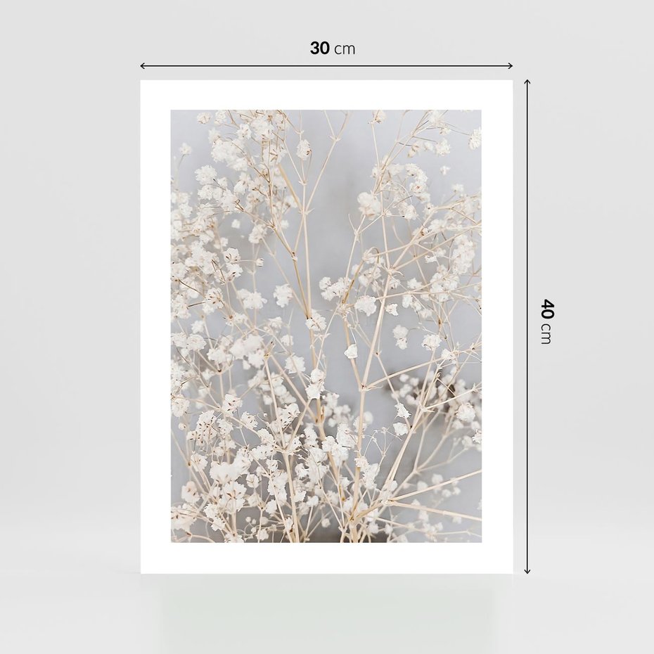 Plakat bez ramy 30x40 - Białe Drobne Kwiaty - gipsówka, białe drobne kwiatki