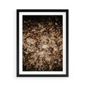 Plakat w ramie 50x70 - Suchość Liści w Brązowych Tonach - suche liście jesień brąz - rama czarna