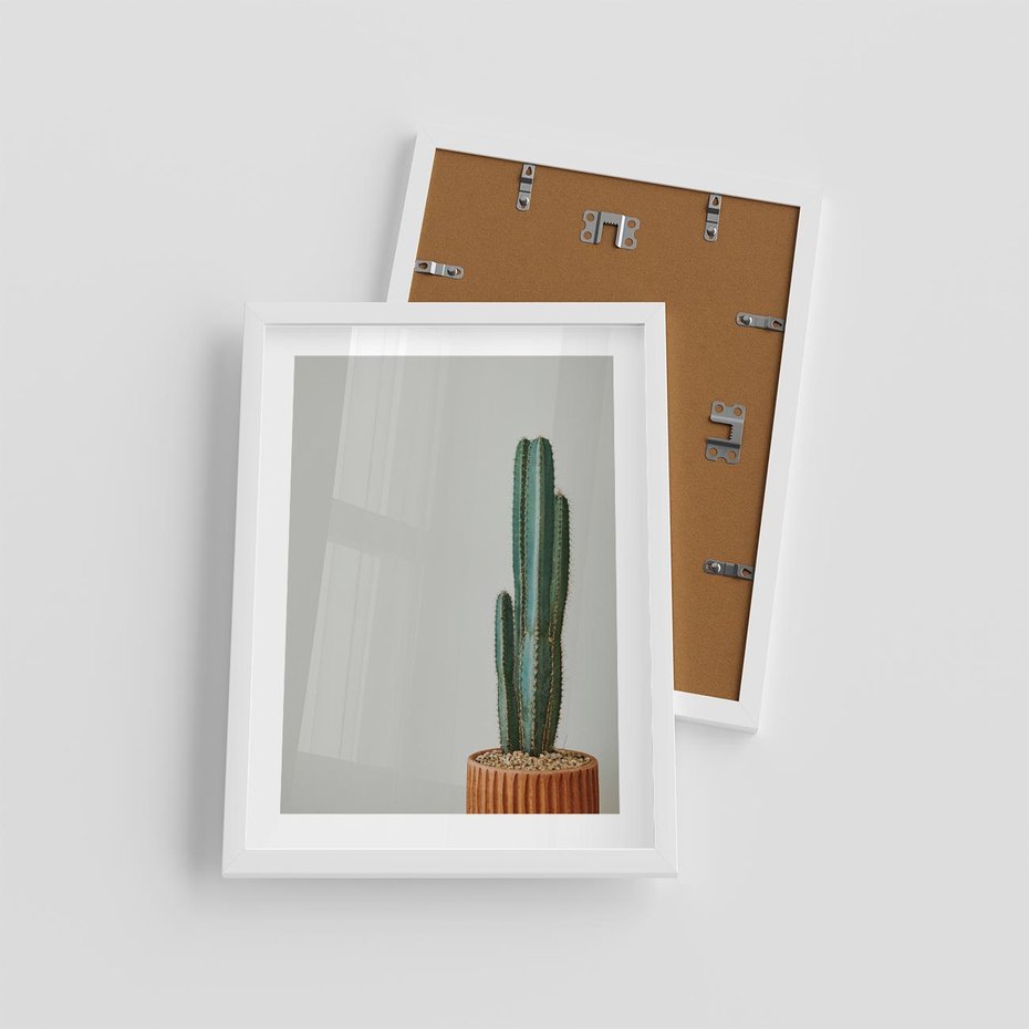 Plakat w ramie 30x40 - Zieleń i Subtelność - kaktusy, liście - rama biała
