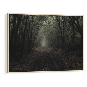 Obraz w ramie 70x50 - Urok Drogi - las, droga - rama drewno