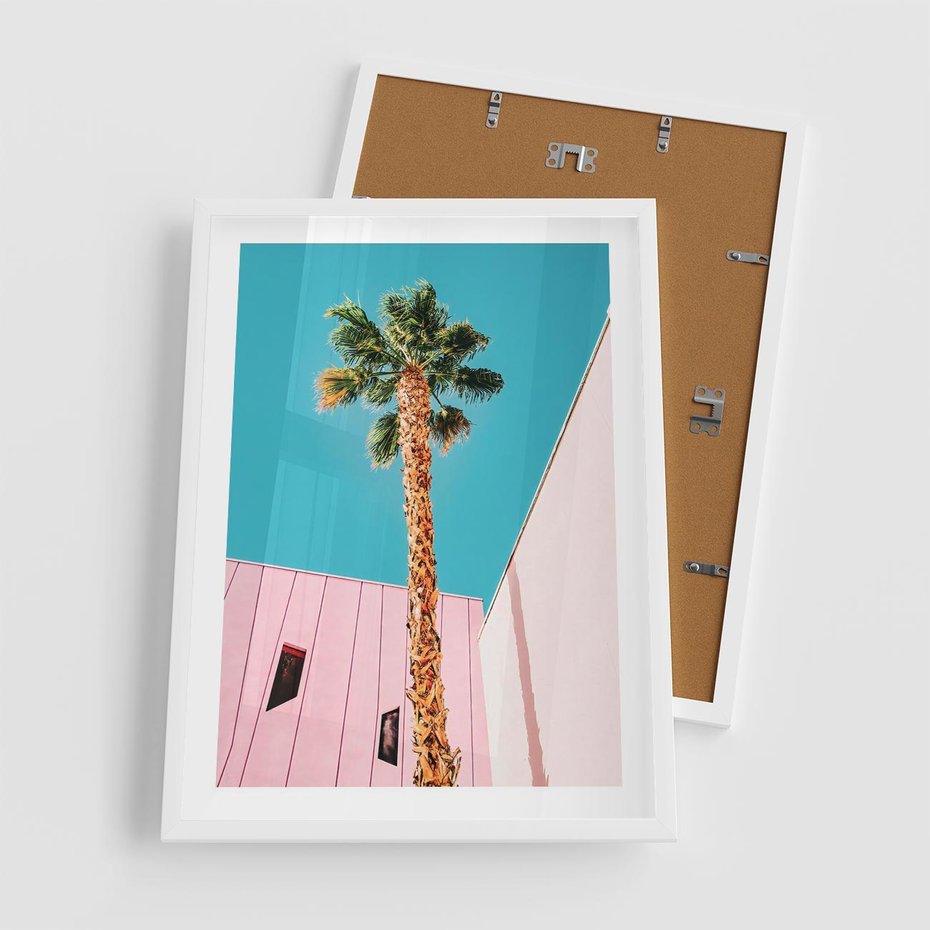 Plakat w ramie 50x70 - Palma w Miami - palma, miami - rama biała