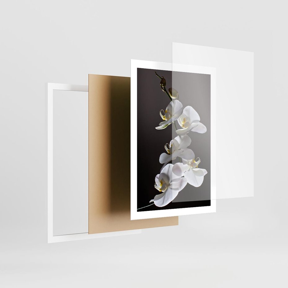 Plakat w ramie 50x70 - SPA: harmonia z kwiatami - spa, kwiaty - rama biała