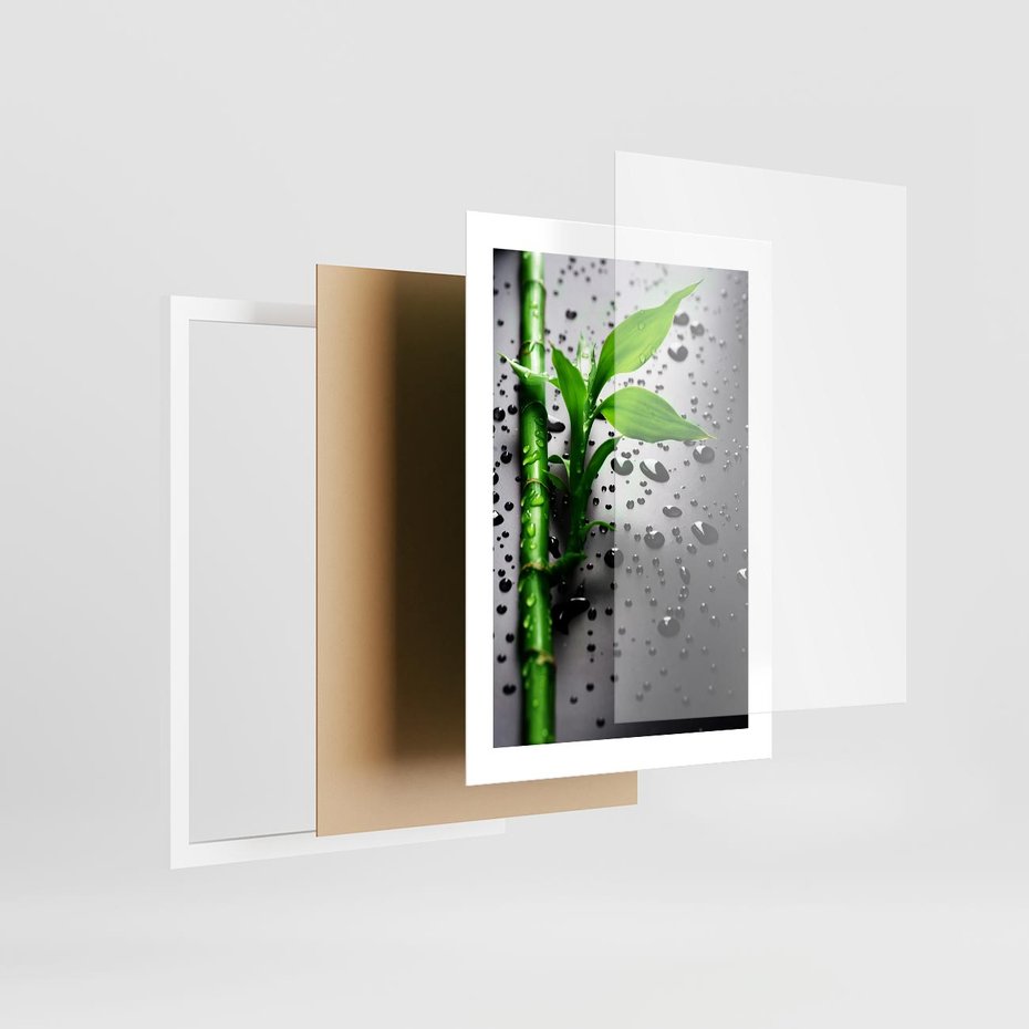 Plakat w ramie 30x40 - Bambusowa Harmonia - bambus, liście - rama biała