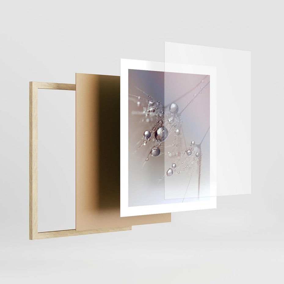 Plakat w ramie 40x50 - Delikatne Natchnienie - krople, dmuchawce - rama drewno