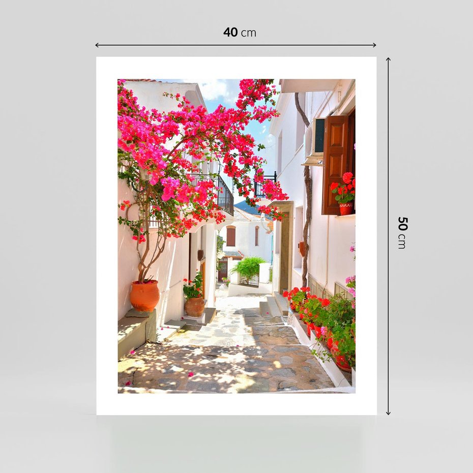 Plakat bez ramy 40x50 - Kwiatowa uliczka wakacji - kwiaty, uliczka