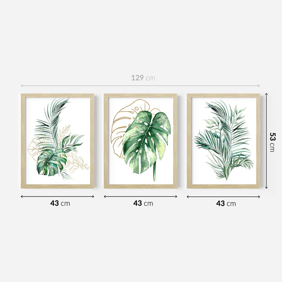 Zestaw obrazy w ramie 40x50 galeria - Liście, monstera, palma, złote, akwarela - rama drewno