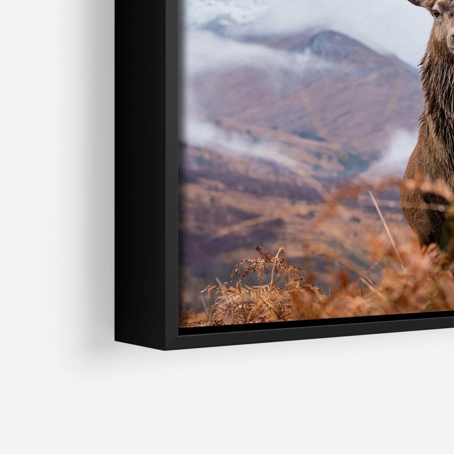 Obraz w ramie 50x50 - Jeleń w Uśpionym Krajobrazie - jeleń na tle gór, ośnieżone góry - rama czarna