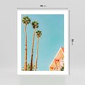 Plakat bez ramy 40x50 - Letnie Marzenia - palmy, na tle nieba