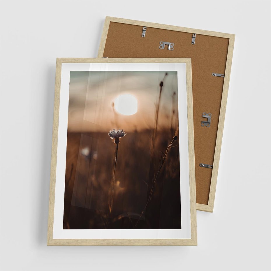 Plakat w ramie 50x70 - Spokój łąki pod zachodem słońca - zachód, słońca - rama drewno