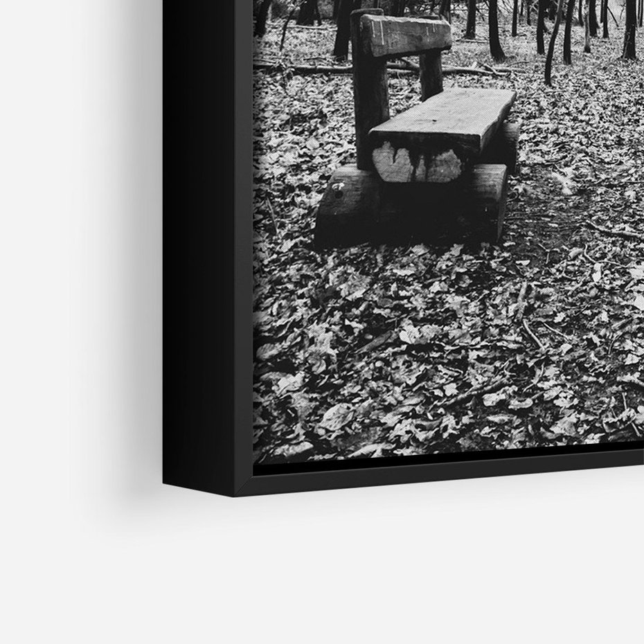 Obraz w ramie 70x100 - Spadające Liście - czarno białe zdjecie, park - rama czarna