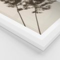 Plakat w ramie 40x50 - Tajemniczy Cień Traw - cień traw, na ścianie - rama biała