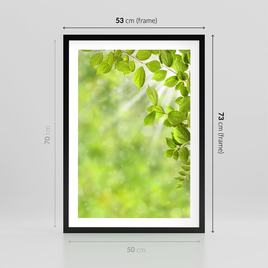 Plakat w ramie 50x70 - Zielone liście natury - liści, zieleń - rama czarna
