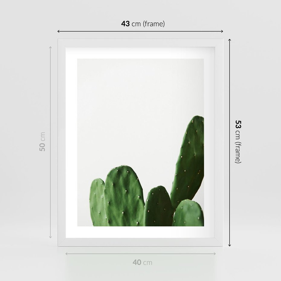 Plakat w ramie 40x50 - Minimalizm Natury - kaktus, zbliżenie - rama biała
