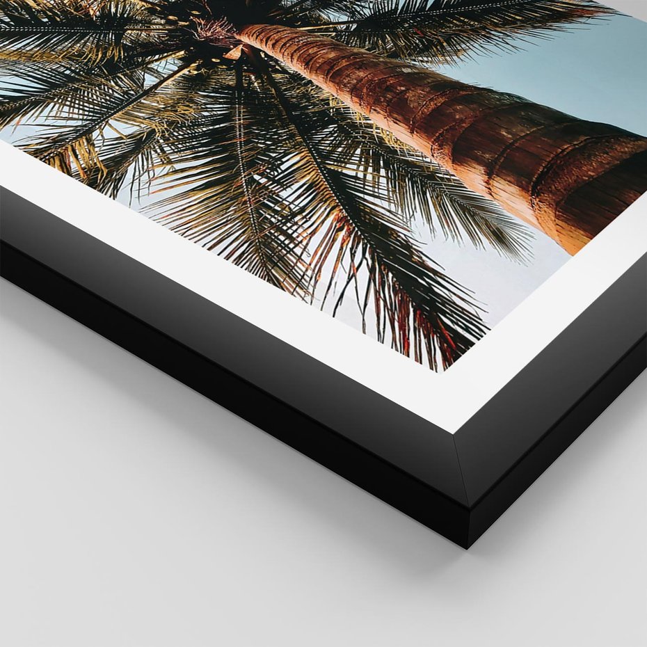 Plakat w ramie 50x70 - Rajskie Inspiracje: Palma na Niebie - palma, na tle nieba - rama czarna