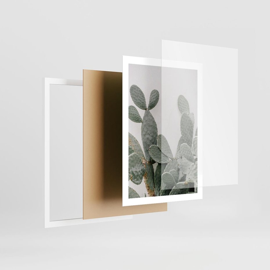 Plakat w ramie 50x70 - Imponujący Kaktus - duży kaktus, opuncja - rama biała