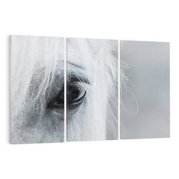 Obraz na płótnie 120x80 - Oko Mocy - czarno białe zdjęcie, zbliżenie makro na oko konia