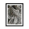 Plakat w ramie 50x70 - Cisza Zimowej Natury - zima, iglaste gałązki - rama czarna