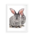 Plakat w ramie 50x70 - Uroczy królik wśród natury - królik, zając - rama biała