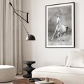 Plakat bez ramy 30x40 - Elegancja w Czarno-Białym - koń, biało