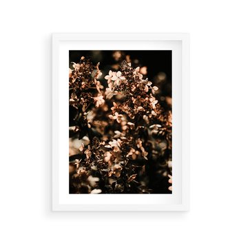 Plakat w ramie 40x50 - Sucha Kompozycja Kwiatów - suche kwiaty hortensji - rama biała