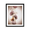 Plakat w ramie 40x50 - Eksplozja kolorów - akwarela, maki - rama czarna