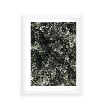 Plakat w ramie 50x70 - Jasnozielone Liście i Gałązki - liście, gałązki - rama biała