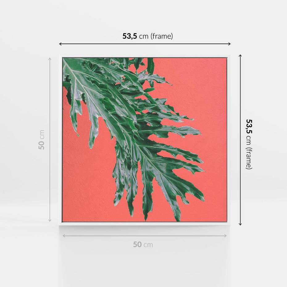 Obraz w ramie 50x50 - Energetyczna Eksplozja Natury - liście, kolor - rama biała